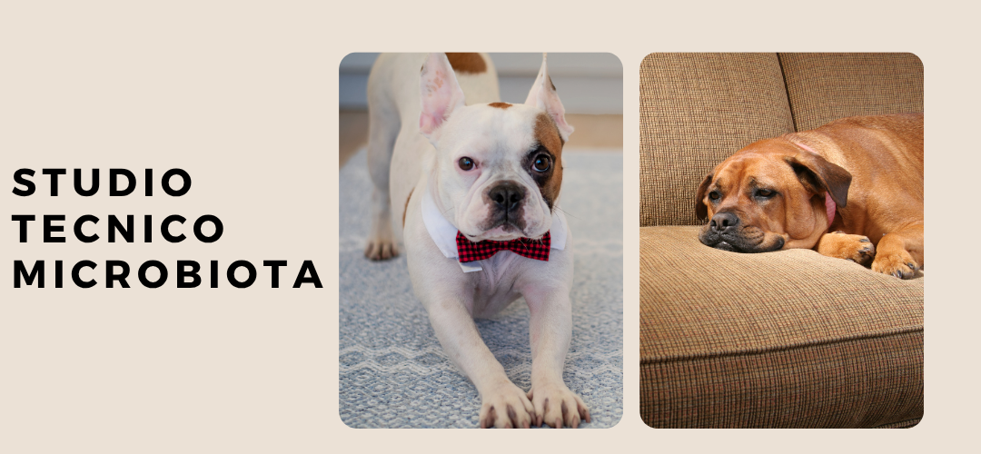 Il Microbiota Intestinale del Cane: Un Ecosistema da Proteggere