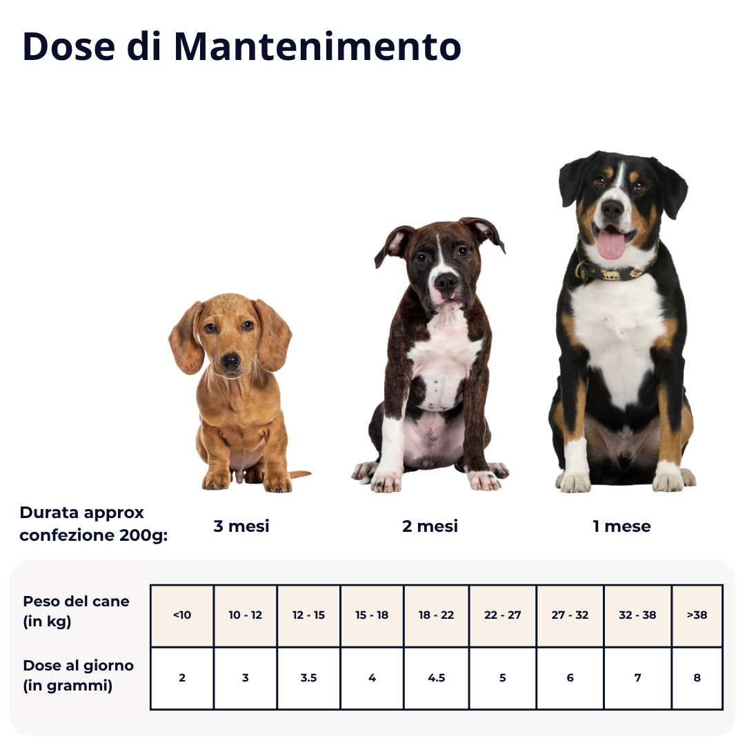 Sanidog Intestino Plus