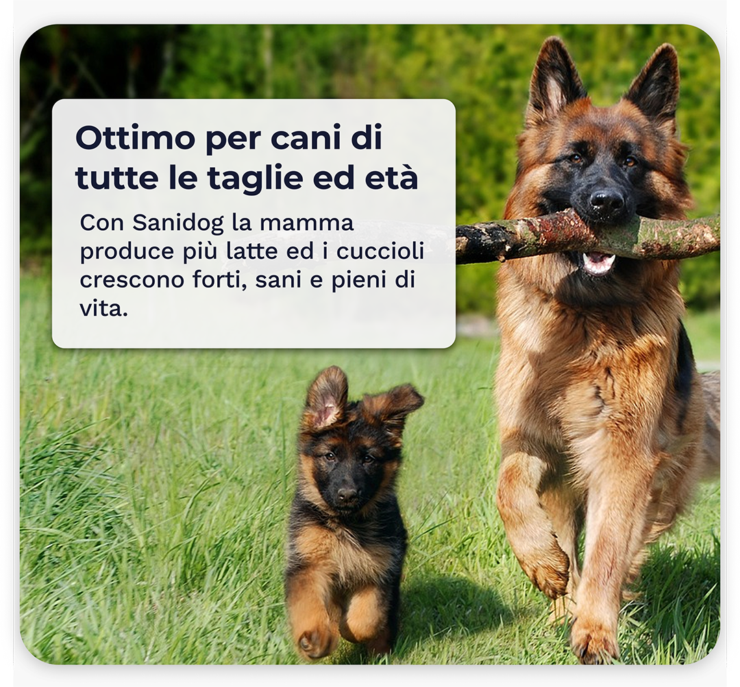 Sanidog Intestino Plus