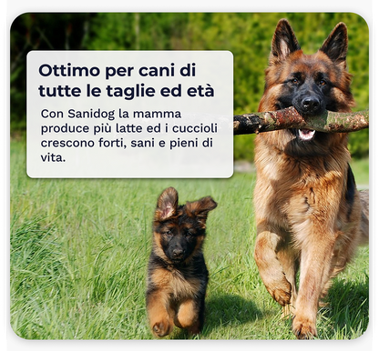 Sanidog Intestino Plus